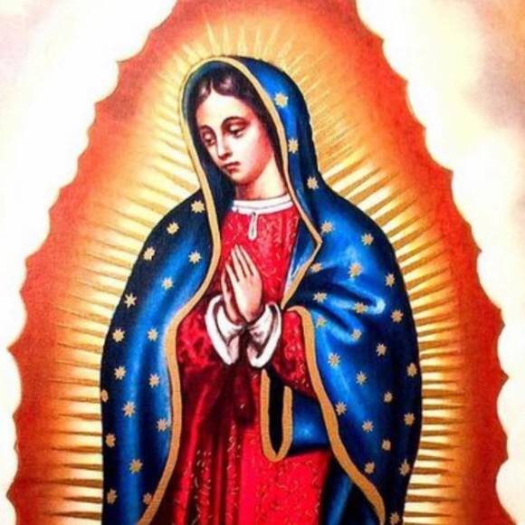 Meet your Posher, Omar - Picture 1 of 1